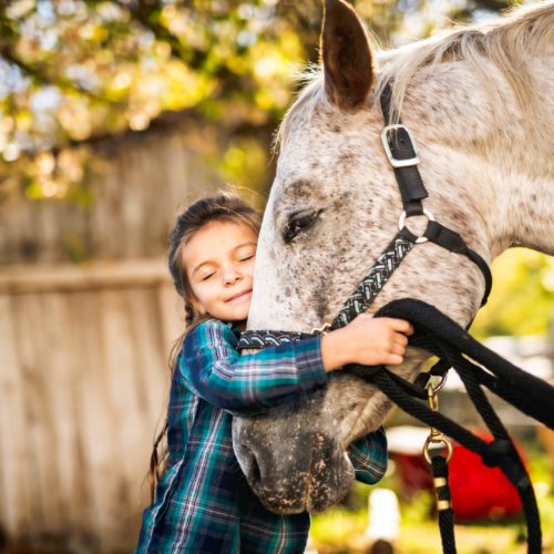 child hugging a horse